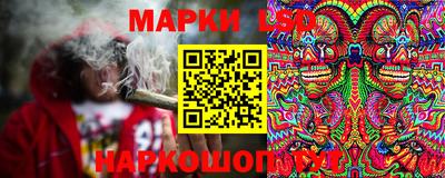 индика Бийск